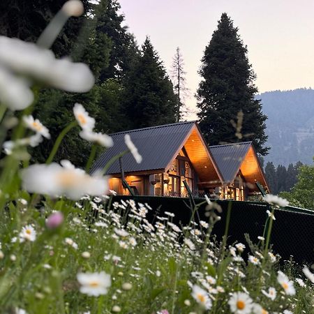 Solomons Gray Villa Tangmarg Luaran gambar