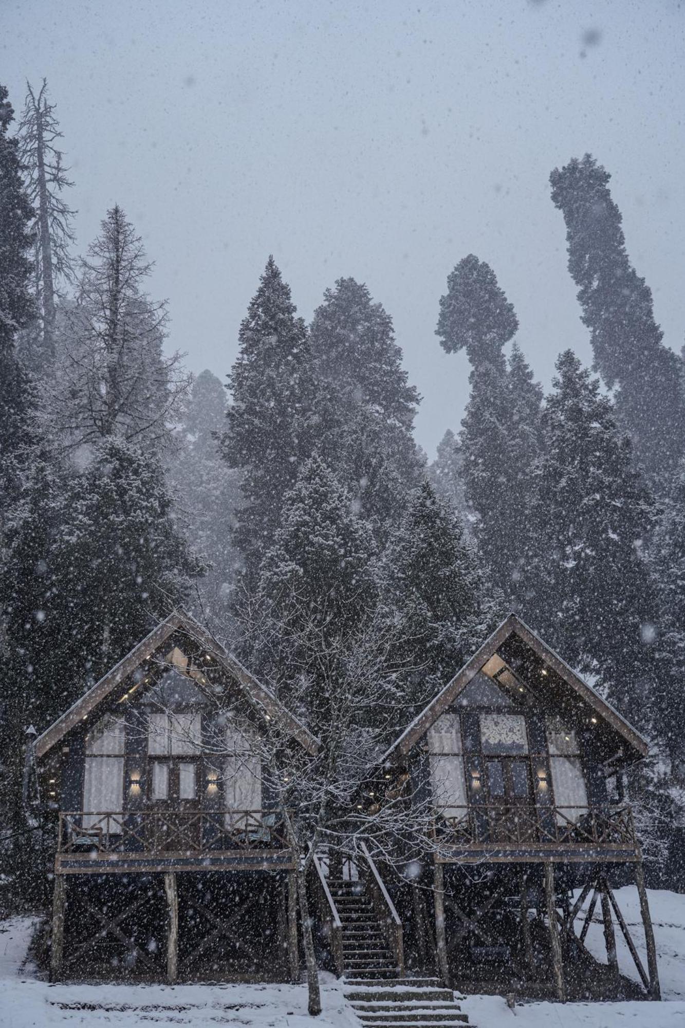 Solomons Gray Villa Tangmarg Luaran gambar