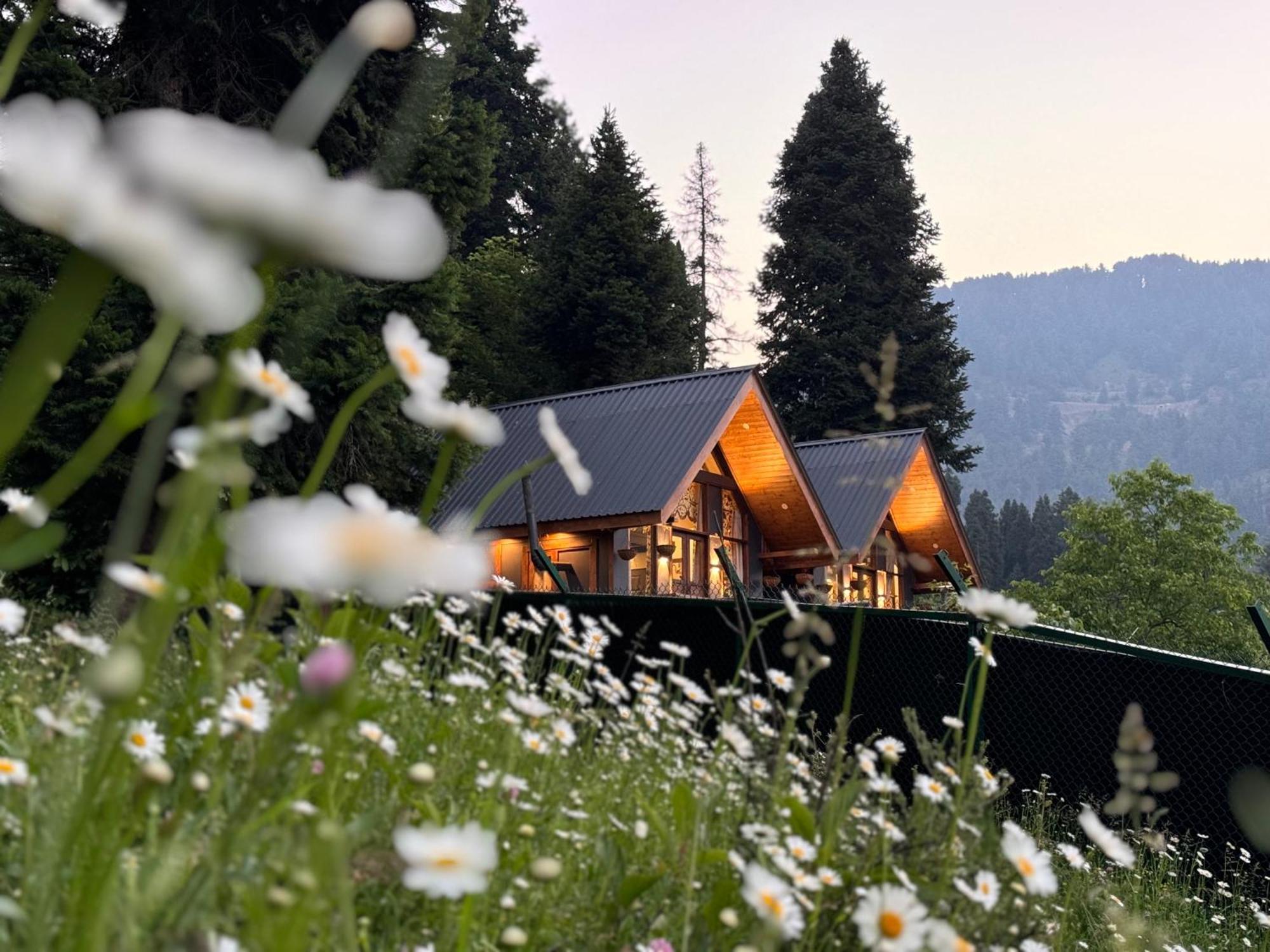 Solomons Gray Villa Tangmarg Luaran gambar