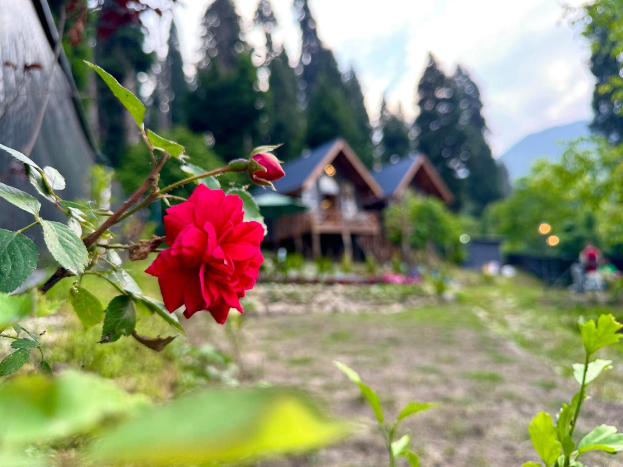 Solomons Gray Villa Tangmarg Luaran gambar